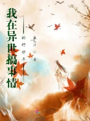 我在异世搞事情的那些年